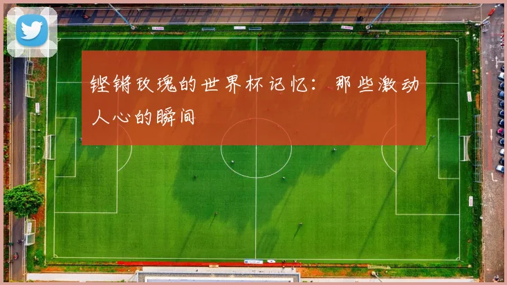铿锵玫瑰的世界杯记忆：那些激动人心的瞬间