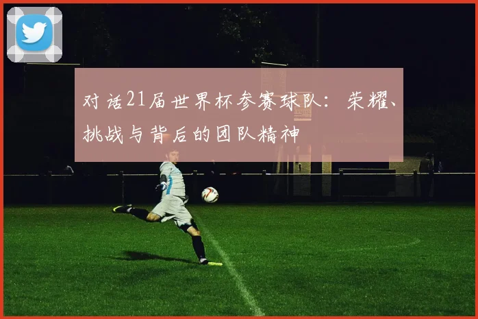 对话21届世界杯参赛球队：荣耀、挑战与背后的团队精神