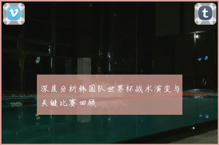 深度分析韩国队世界杯战术演变与关键比赛回顾