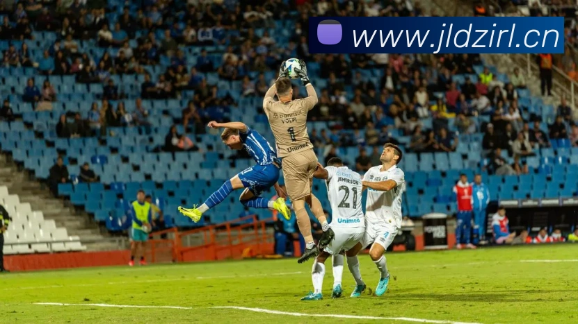 App Interface Preview